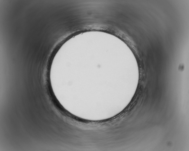 X0000116860012201001191711