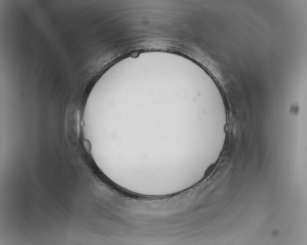 X0000116860013201001191711