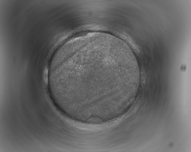 X0000116860014201001191711