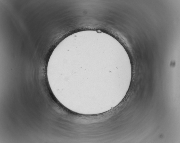 X0000116860017201001191711