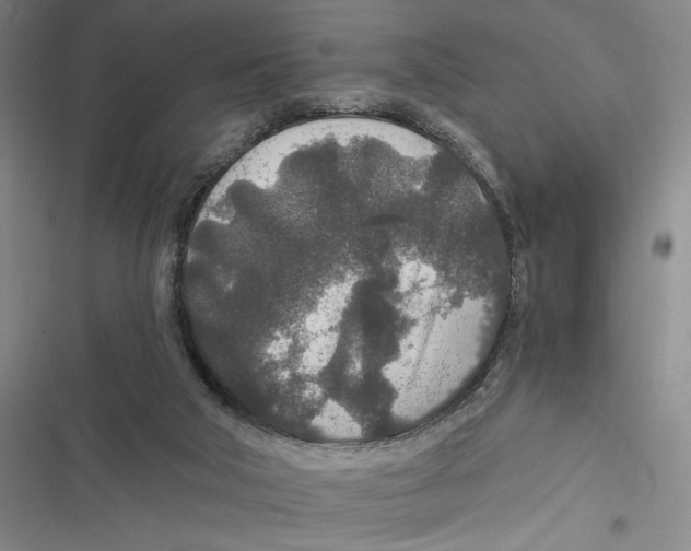 X0000116860018201001191711