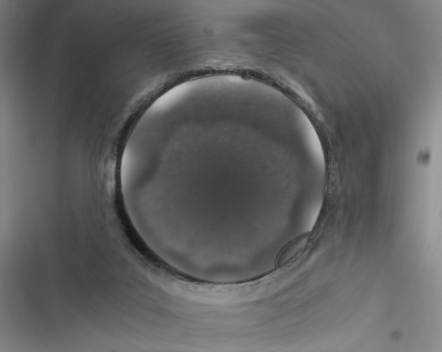 X0000116860019201001191711