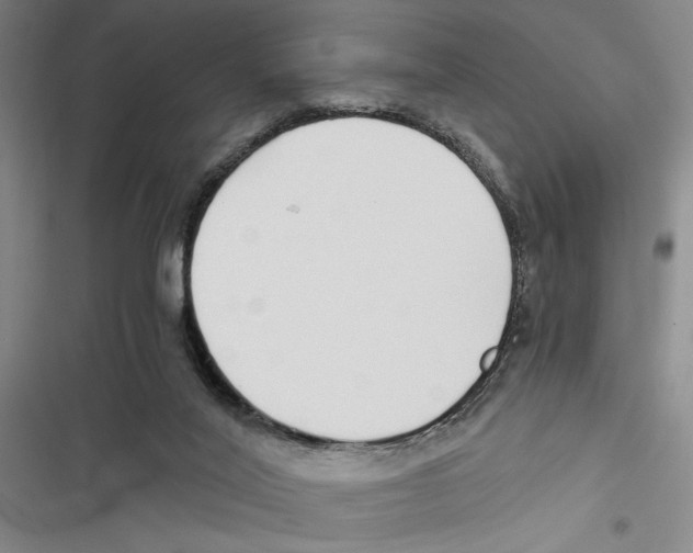 X0000116860020201001191711