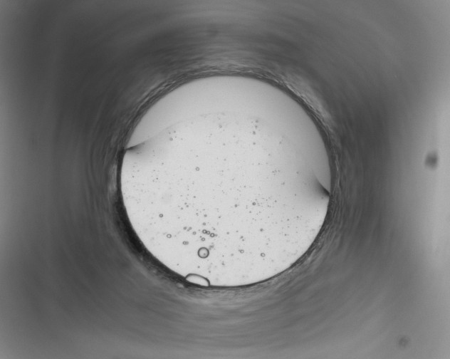 X0000116860021201001191711