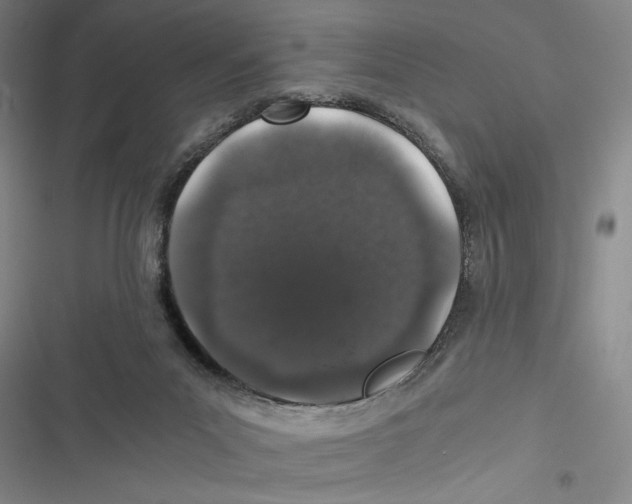 X0000116860023201001191711