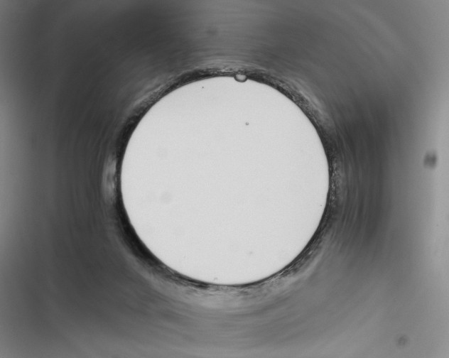 X0000116860024201001191711