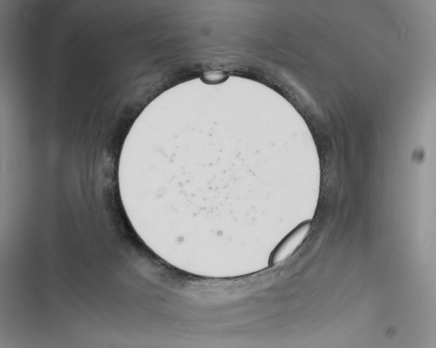 X0000116860025201001191711