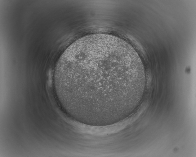 X0000116860026201001191711