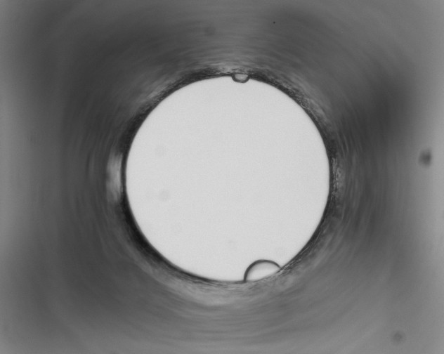 X0000116860028201001191711