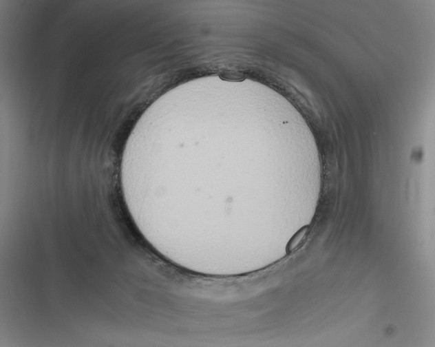 X0000116860029201001191711