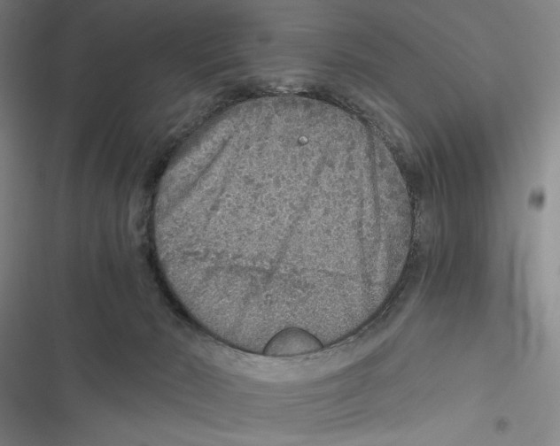 X0000116860030201001191711