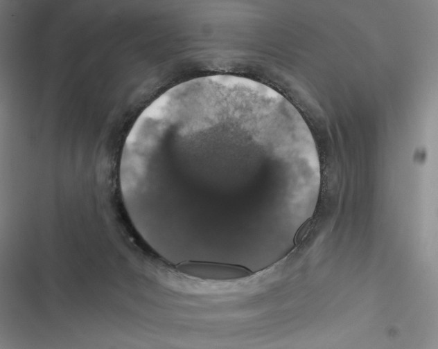 X0000116860031201001191711