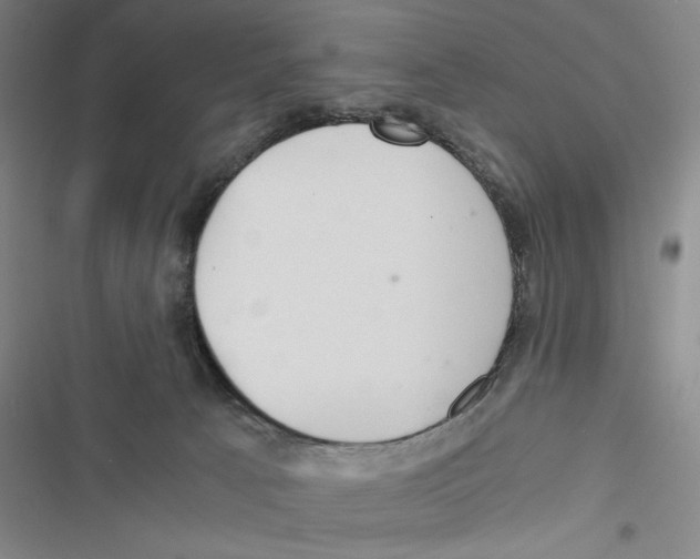 X0000116860033201001191711