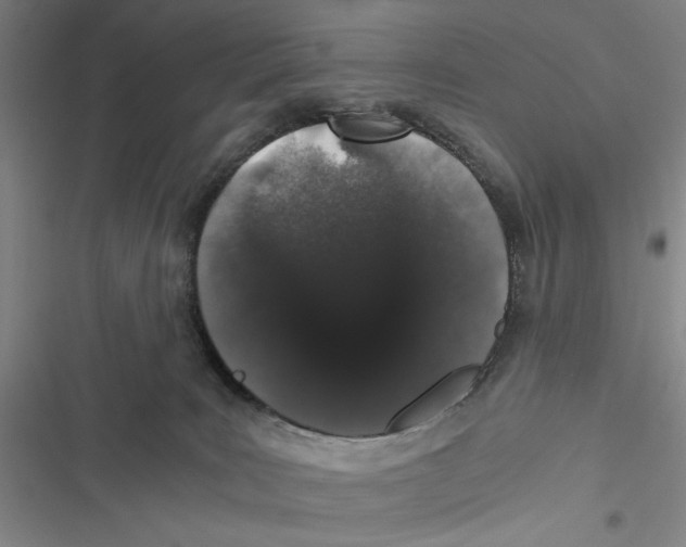 X0000116860035201001191711