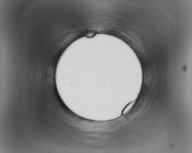 X0000116860036201001191711