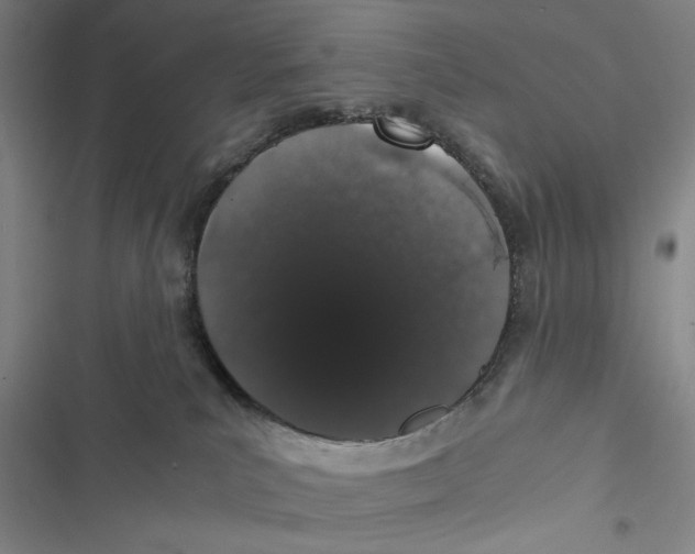 X0000116860039201001191711