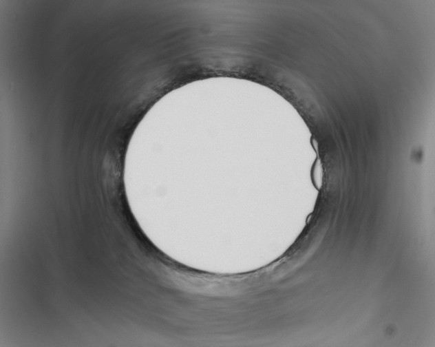 X0000116860040201001191711