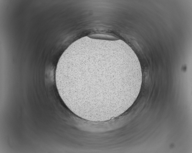 X0000116860042201001191711