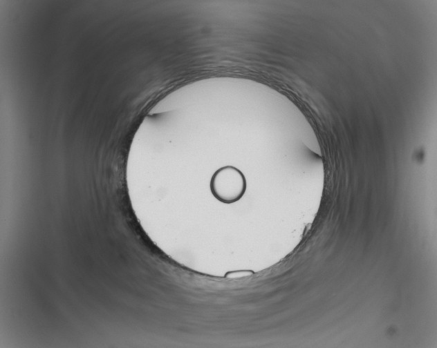 X0000116860043201001191711