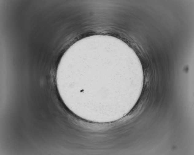 X0000116860044201001191711