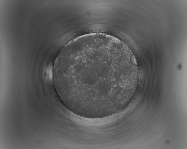 X0000116860046201001191711