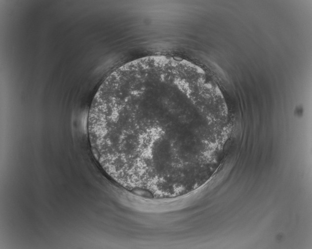 X0000116860047201001191711