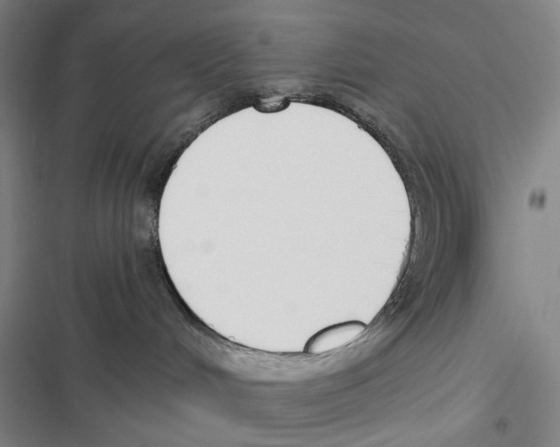 X0000116860048201001191711