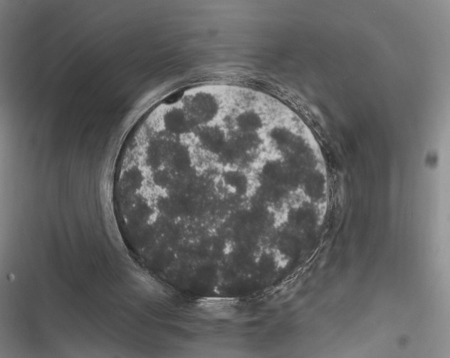 X0000116860051201001191710