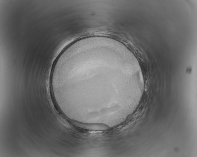 X0000116860052201001191710