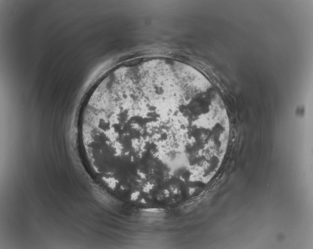 X0000116860053201001191710