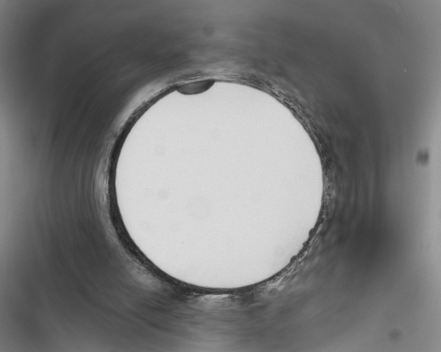 X0000116860054201001191710