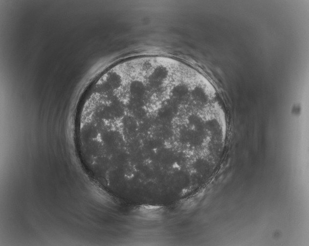 X0000116860055201001191710