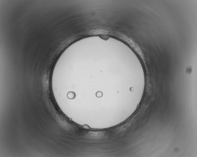 X0000116860057201001191710