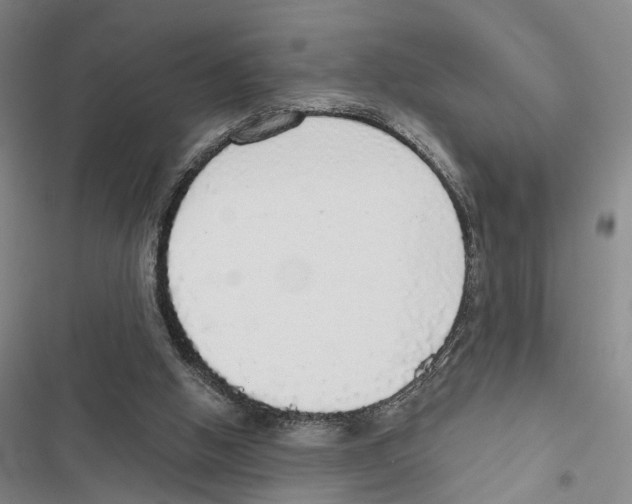 X0000116860058201001191710