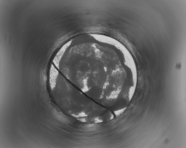 X0000116860059201001191710