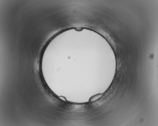 X0000116860060201001191710