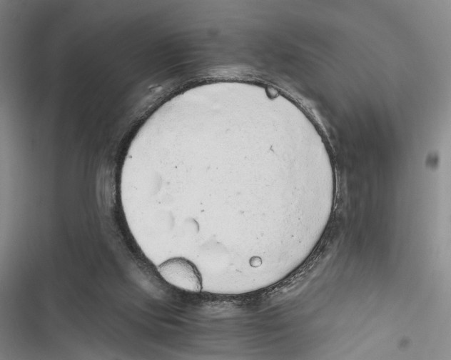 X0000116860061201001191710