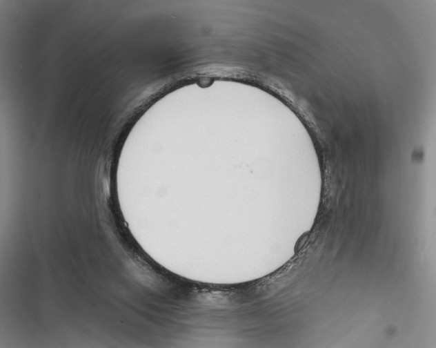 X0000116860062201001191710