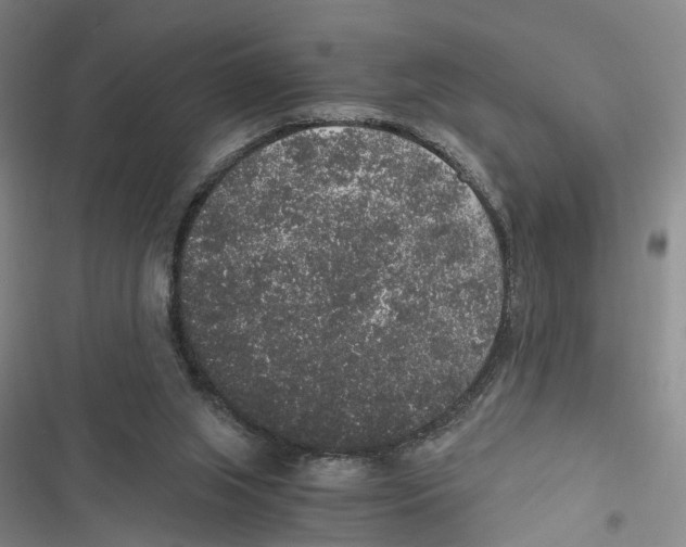 X0000116860063201001191710