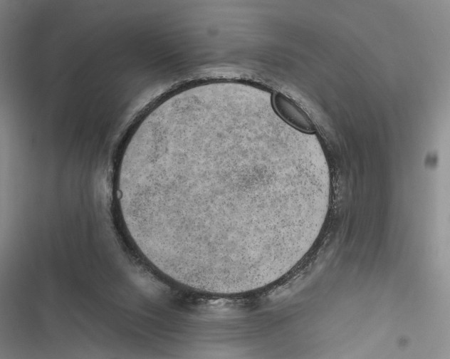 X0000116860064201001191710