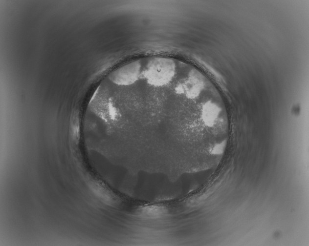 X0000116860067201001191710