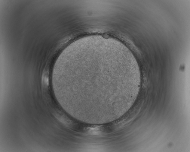 X0000116860068201001191710