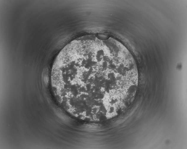 X0000116860069201001191710