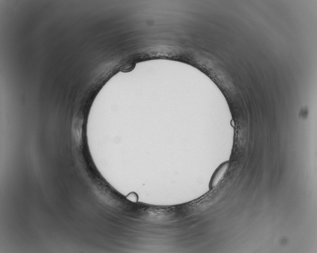 X0000116860070201001191710