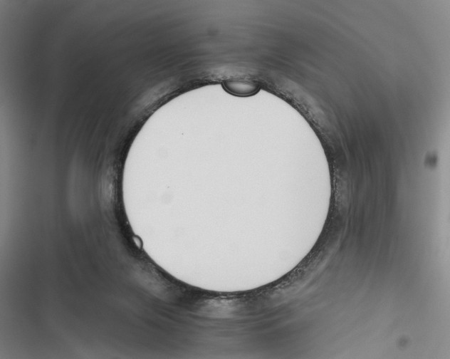 X0000116860071201001191710