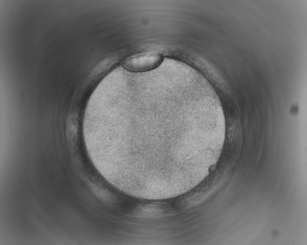 X0000116860072201001191710