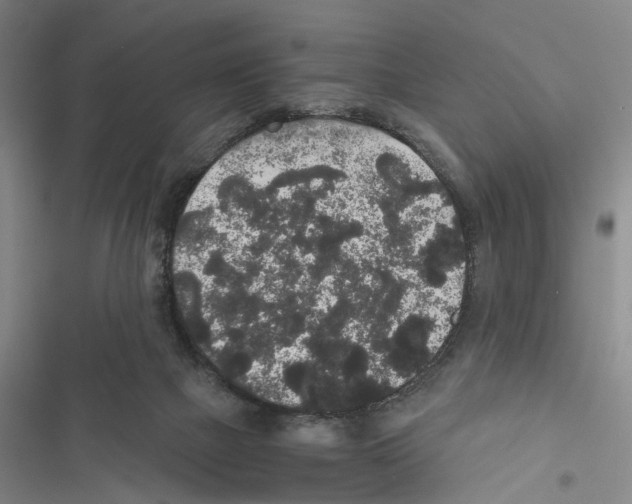 X0000116860073201001191710