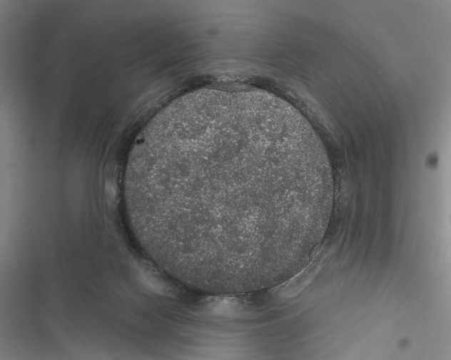 X0000116860074201001191710