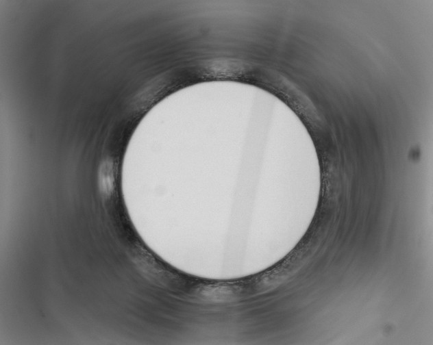 X0000116860075201001191710