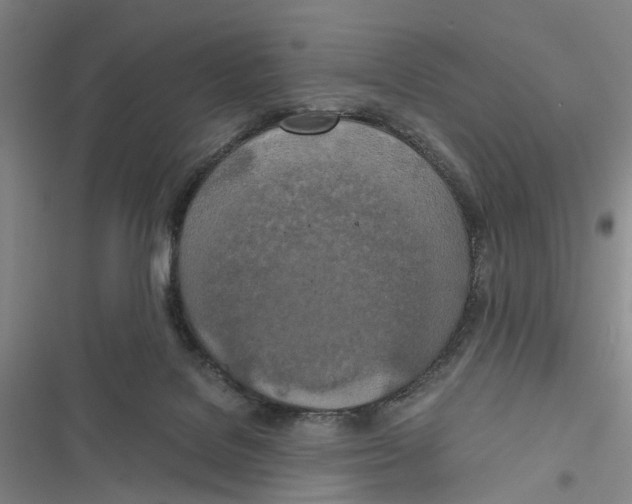 X0000116860076201001191710